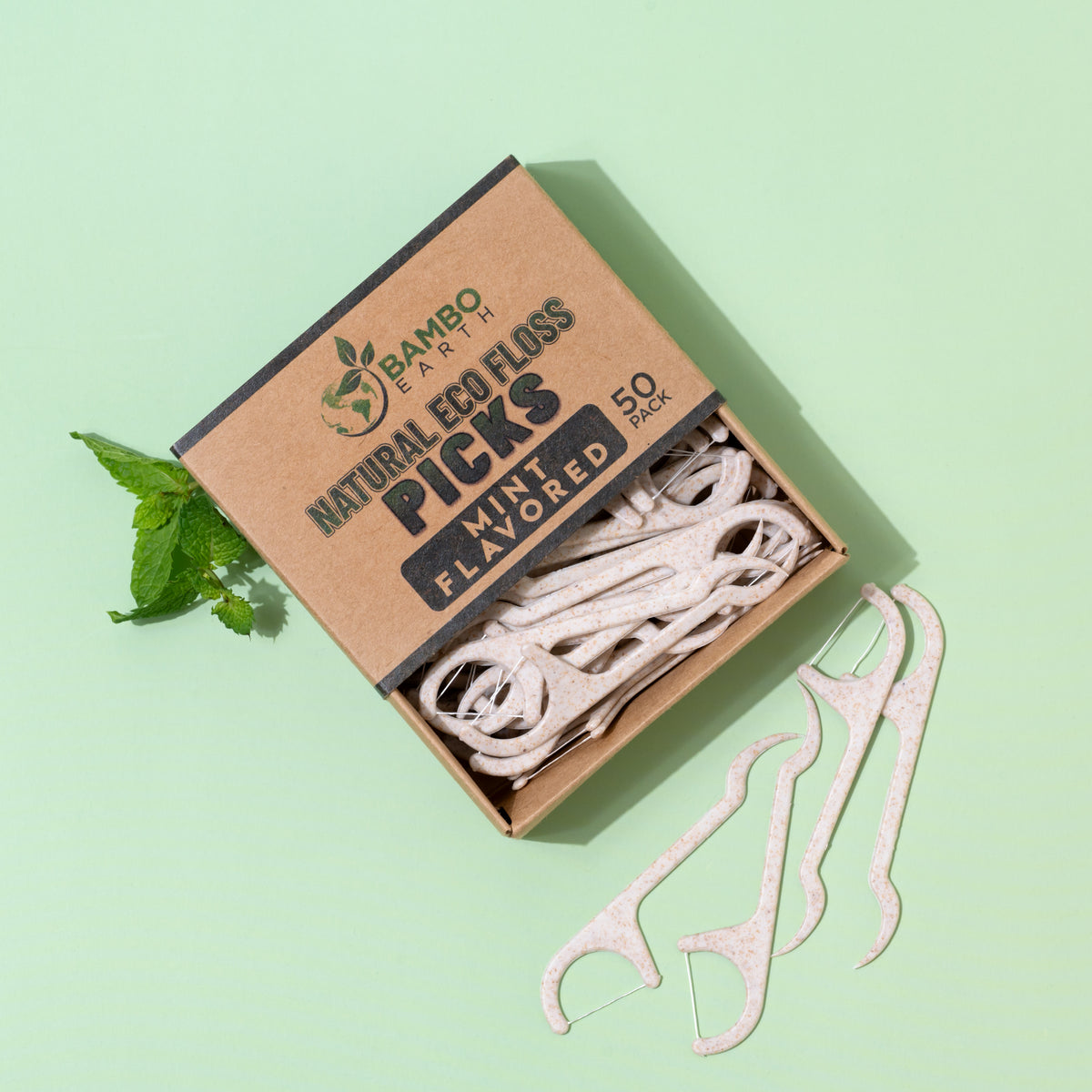 Floss Picks Charcoal & Mint 50 Pack
