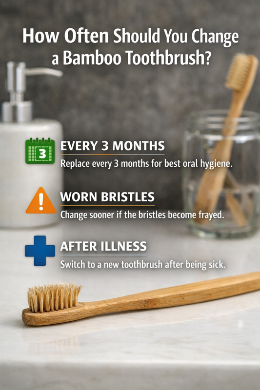 How Often Should You Change a Bamboo Toothbrush?