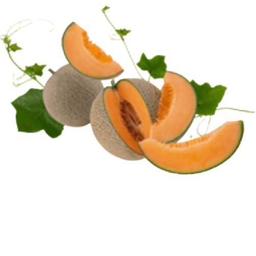 Cantaloupe (Melon) Juice