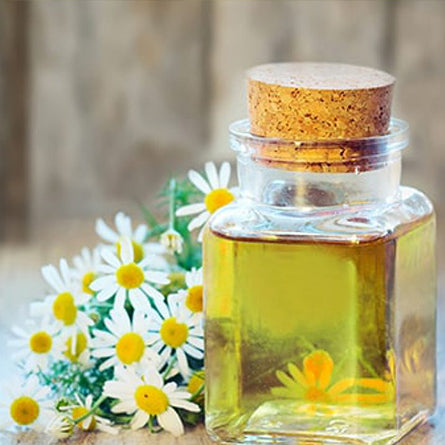 Chamomile/Chamomile Oil