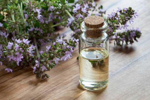 Thymus/Thymus Oil