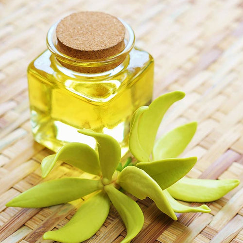 Ylang/Ylang Oil