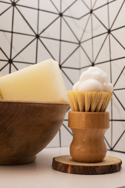 Dish Bar Bundle Unscented