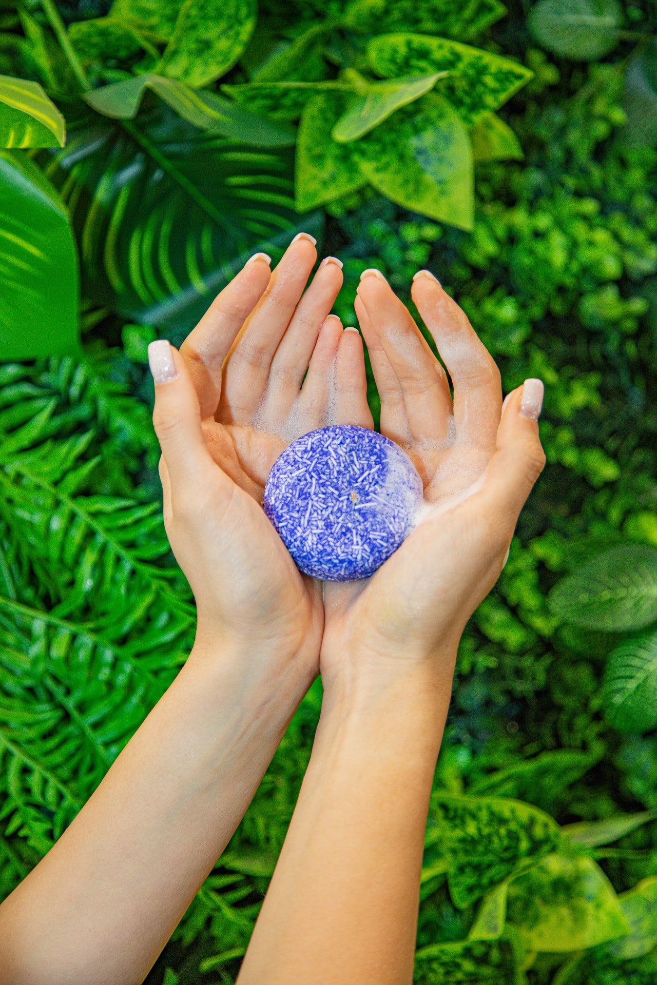 Shampoo Bar Mini Lavender – BAMBOEARTH