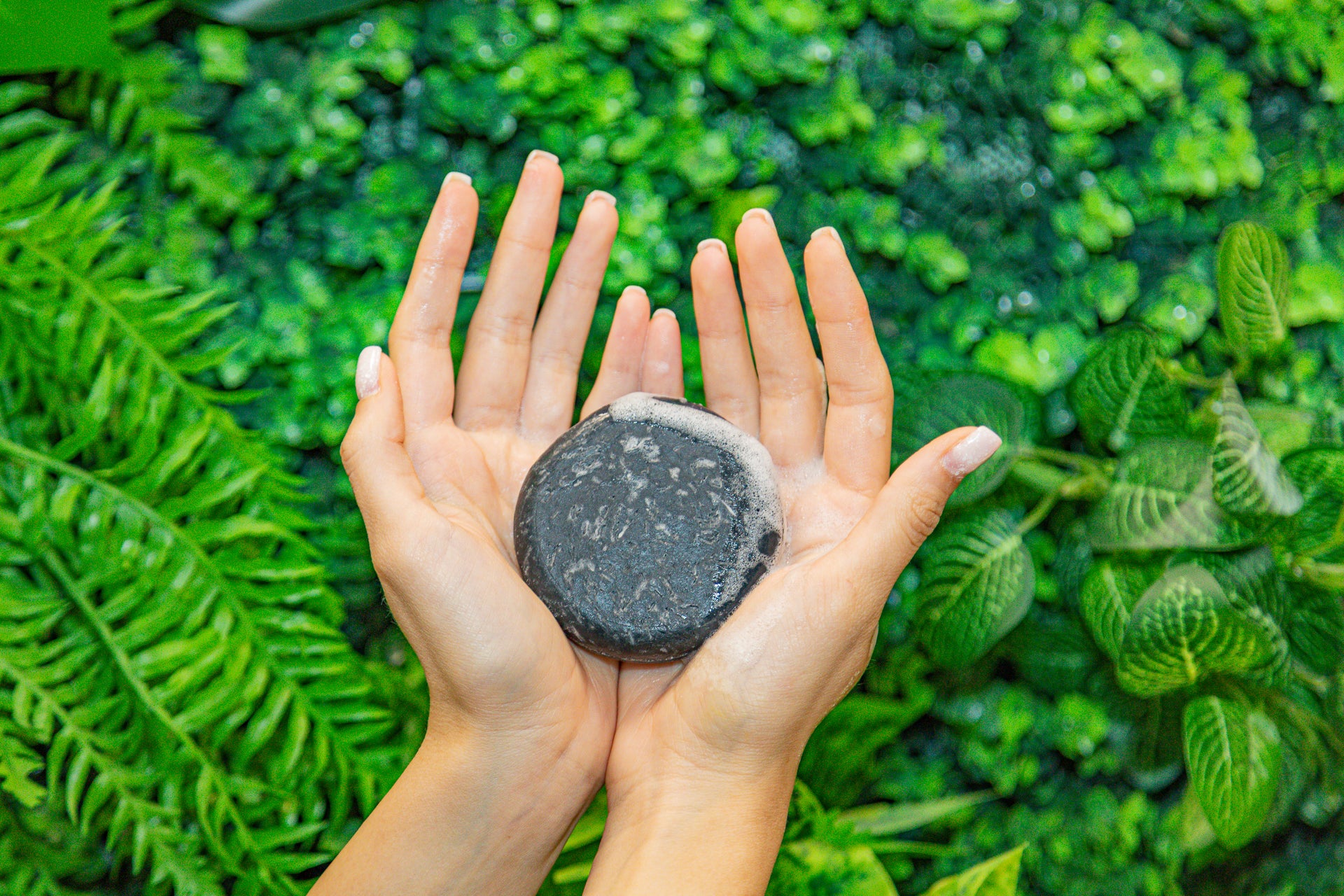 Natural Rice Protein Shampoo Bar (Bamboo Charcoal) – BAMBOEARTH